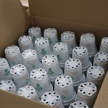 ���׼Ӻ��pɫ��һ�������ϻ����������̖�I�B�����������Nֲ��