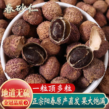 �F؛�F؛���ڏV�|ꖴ���ɰ��ꖴ��خa ꖴ�ɰ����ș�Ĵ�ɰ���ٰl