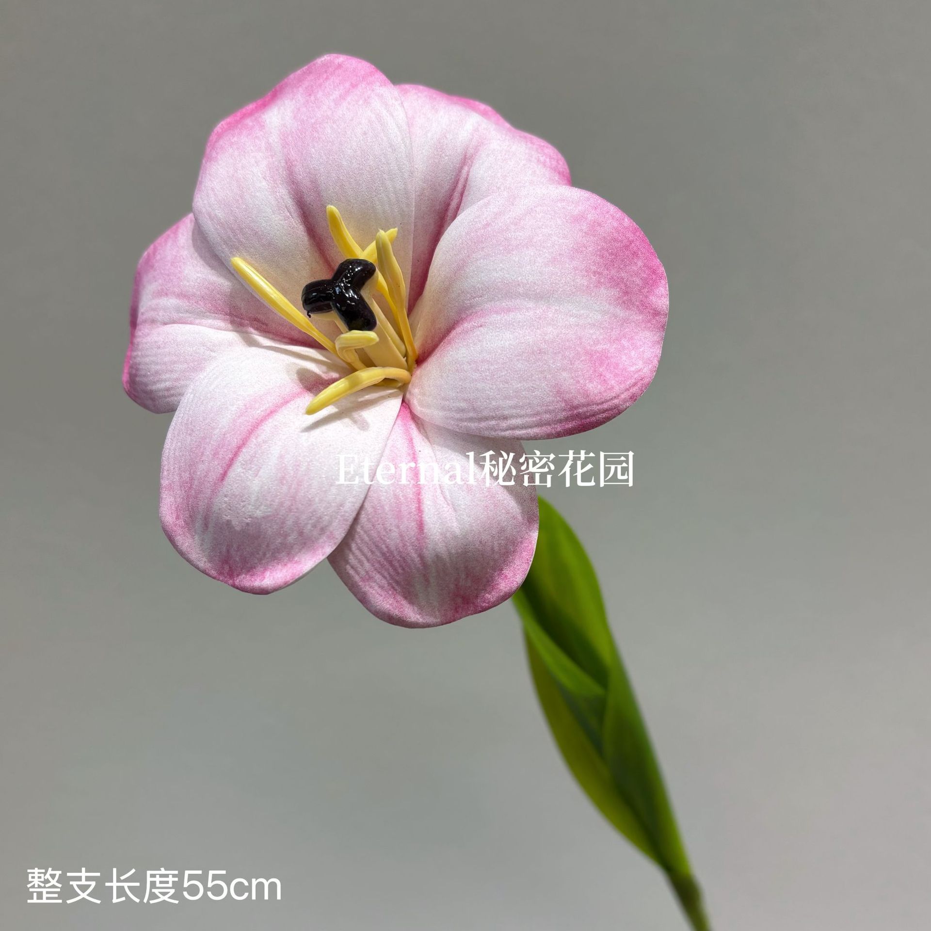 EVA 플립 튤립
