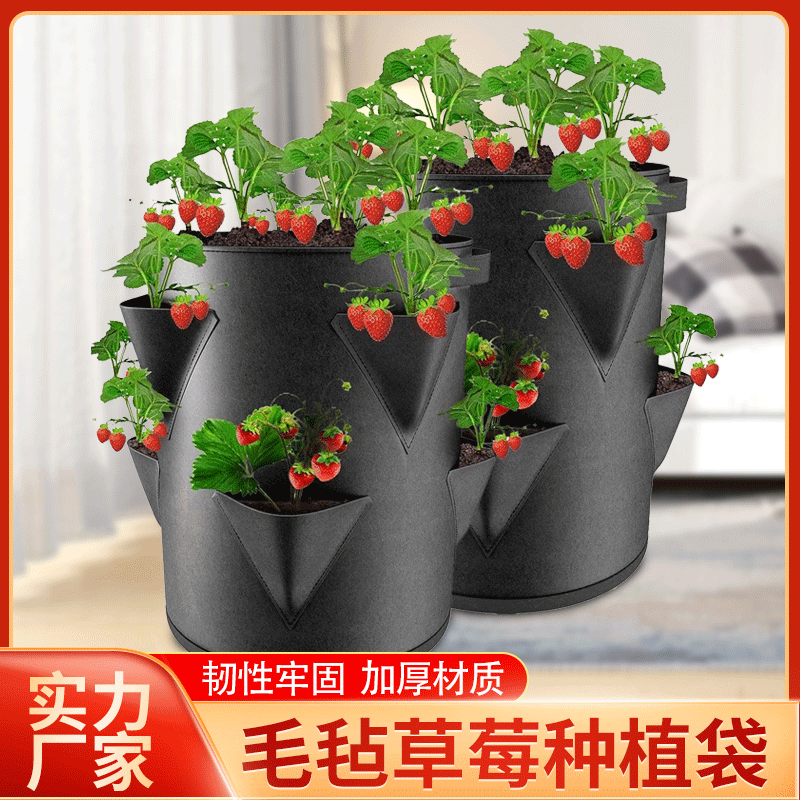 亞馬遜草莓種植袋美植袋香草無紡布毛氈懸挂吊挂式栽培植物生長袋