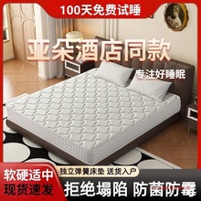 ���ɴ��|ϯ��˼���|��Ƶ���z�o���o�����҃��ô��|25cm�Ӻ�