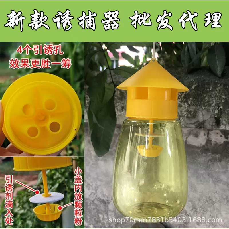 果蝇诱捕器针锋器瓜实蝇大实蝇桔小实蝇柑橘瓜果园诱蜂器厂家批发