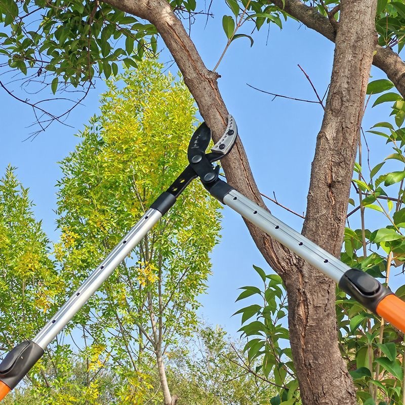 Jardín de árboles frutales de rama alta varilla larga especial fuerte tijeras de rama gruesa tijeras agrícolas engranaje de rama gruesa original extensión fuerte
