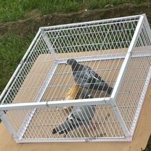 ���ӻ\�����ӻ�j�T�\ײ�T���\�F�\ֻ�M�������\����\ײ�T�Ԅ��T