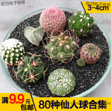 �_������������M�����Ծp�����[�L���ײ��҃������ݗ�������Ժ�