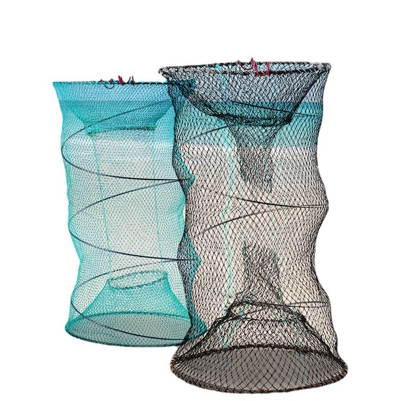 万物共栖 生生不息