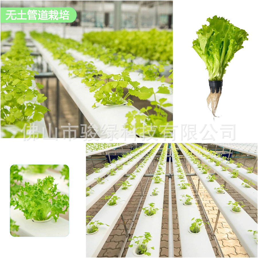 水培定植篮无土栽培设备管式蔬菜植物苗种植控根篮塑料透气网盆-阿里巴巴