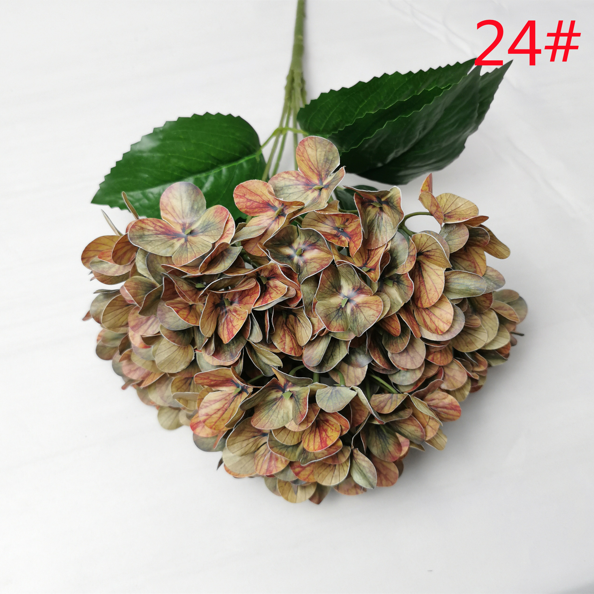 24#