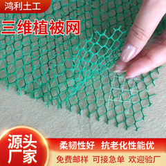 护坡三维植被网EM3植草加筋hdpe三维土工网垫护坡绿色三维植被网