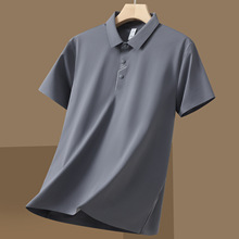 �����Ϳ��\��Polo�������ļ���ɫ���淭�I͸�⏗���ճ�ͨ�����e