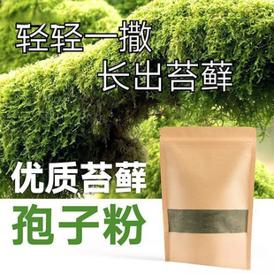 ̦�\�N�ӷ�ĩ��ˮʯ��ɽ��ˮʯ�辰���r����̦�N��̦�\����