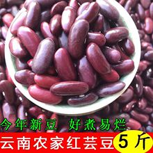 ��ϼtܿ����؛���r�t�����ӷN�Ӹ�؛�ඹ����s�Z��Ŵ��˼t����