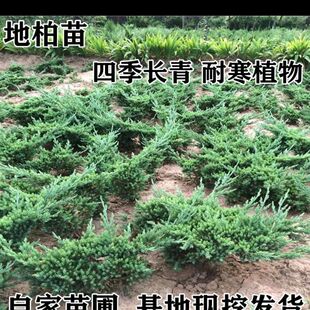 �ذ������ذ���ɳ�ذ��������辰�ز����ͺ��繤�̺ӵ�ɽ�¾G����