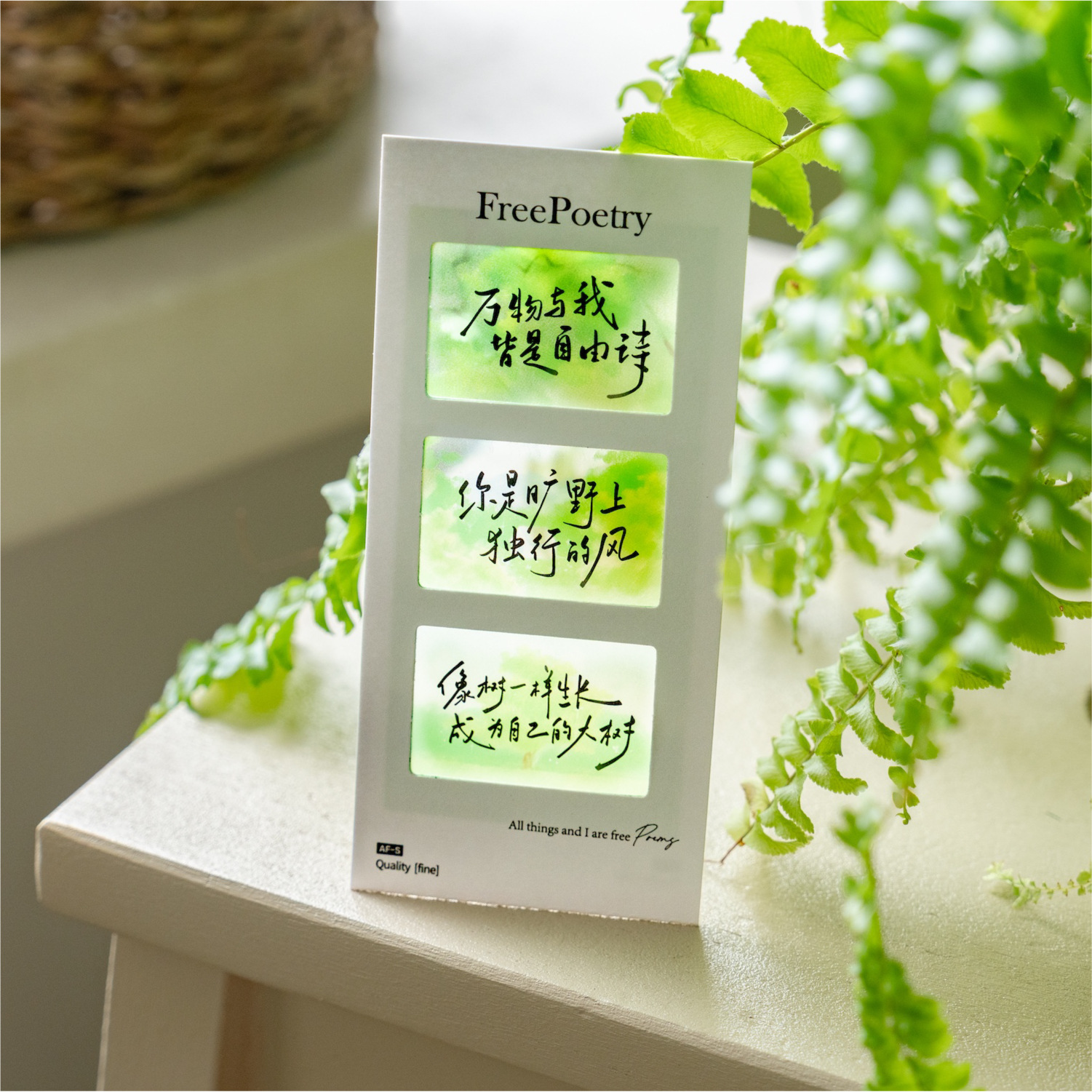 Marcadores de película de inversión de Mo Mo PET, texto de poesía sin terminar, estudiantes de alto valor leen marcadores, colgantes de mochilas escolares