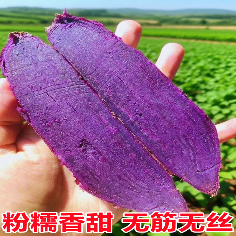 湖北·沙地紫薯新鲜农家自种10斤紫罗兰番薯当季新鲜紫薯红薯地瓜|undefined