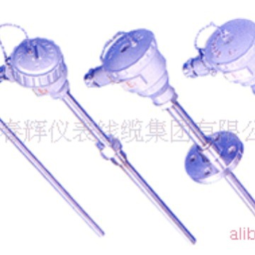 供应装配热电偶/阻WRN-230 WZP-440