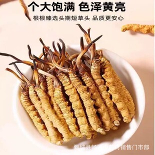 ��Ʒ�������x�Ĳ� �����x�ݸ�؛ ���x�����x�� �F؛���l