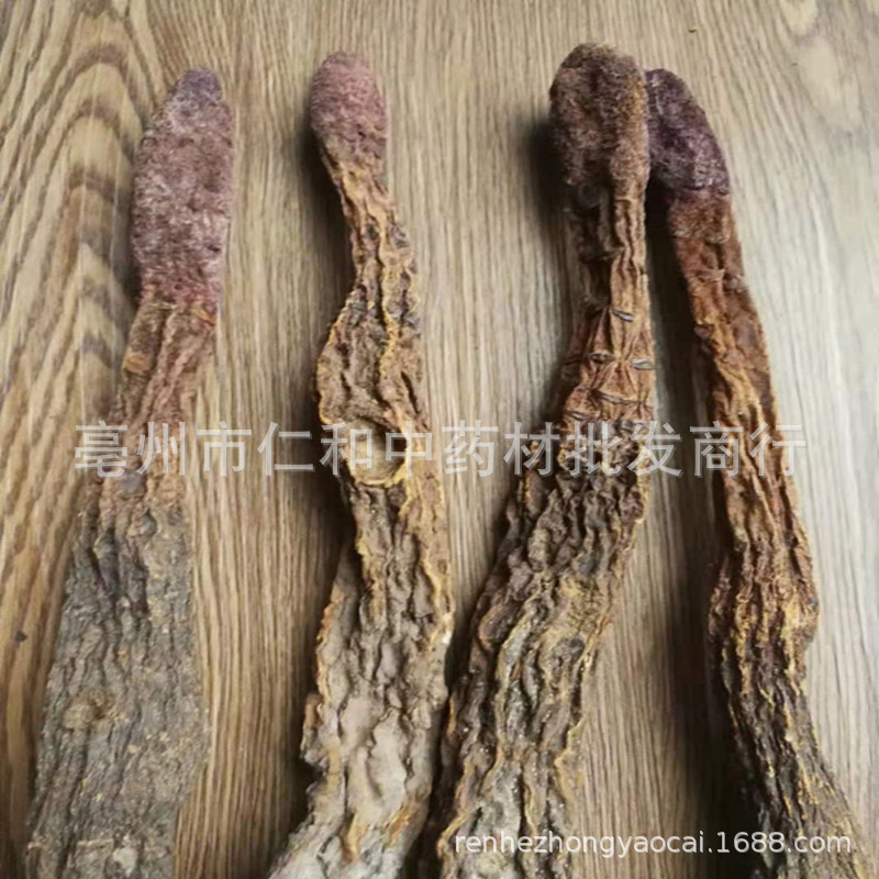 Dried Suo Yang Cynomorium Slices Whole Herb Tonic Herbal Tea and Decoction Ingredient quality and texture