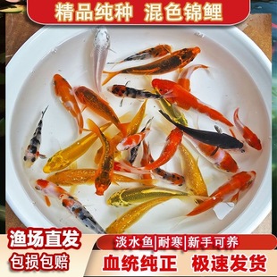 ���N�\���~���w�~�^�p�~�t����ɫ�������S��׌��p����ˮ�~�Bˮ��