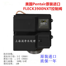 原装进口FLECK3900时间软化阀流量控制阀富莱克3900NXT系统多路阀