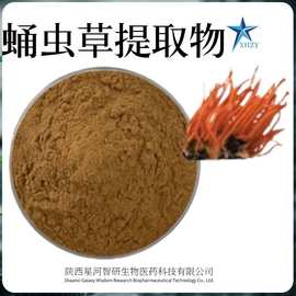 现货批发蛹虫草提取物10:1植物提取物 蛹虫草粉水溶金虫草菌丝粉