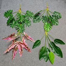 ��Ʒ�|�ָз���Ž��~ 7Ƭ�~���˽�����ֲ���쾰 ����Gֲ�����~