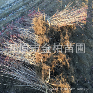 ���Ǘ���������G�hС��G���^�p��ľ�|�����Ǘ����l�ʱ���