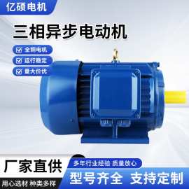 厂家直发三相异步电动机 YE3系列YE2 纯铜 30kw-4足功率国标性能