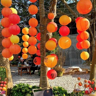 2025����c���﹝���������b����\��t�S����ɫ�����С���\