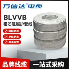 BLVVB�Xо�o�׾���ȼ�m���o���X�Դ�����b늾���|���ˌ���