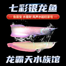 ���~�^�p���~�y���~�߲����~�t���S���y���Ꭷ�~��lؔ�~���w����