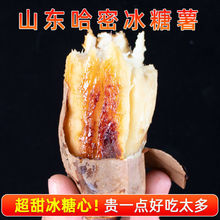 ɽ�|���ܱ��������r�����������ļt�������r���ԷNɳ�صع�5/9��