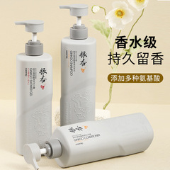 銀杏氨基酸洗髮水沐浴露護髮素套裝持久留香洗髮露蓬鬆控油洗髮水