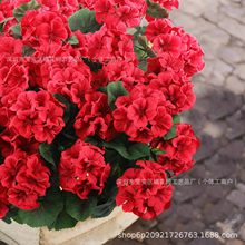 �羳TK���R�d���N�L���滨���Ļ��ٻ���c�Ҿӿ͏d���ÿ��z��