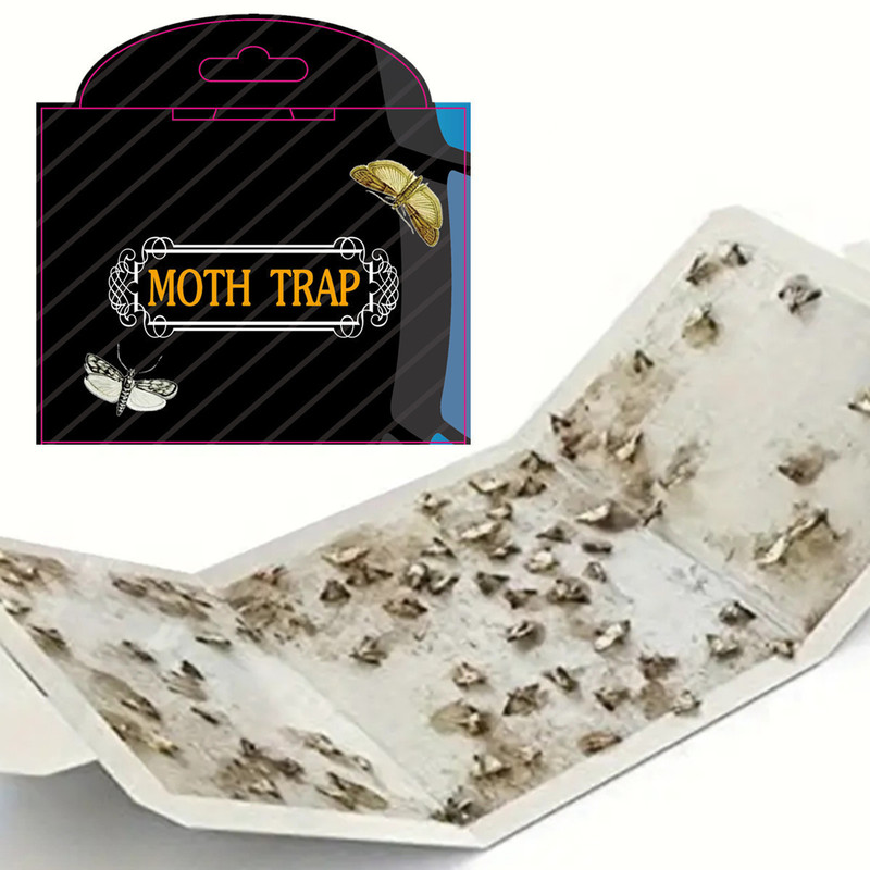 Black Stripe Moth Hook Moth Trap Sticky Moth Moth Catcher Moth Stickers Moth Trap Black Stripe Moth Hook Moth Trap Sticky Moth Moth Catcher Moth Stickers Moth Trap