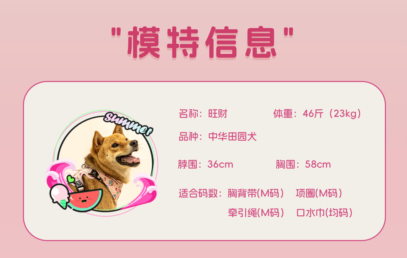 C端-缤纷详情页_13.jpg