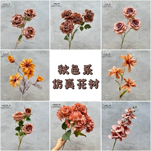 ��ɫϵ���滨 ��c��Y���bٻ� ��ɫ����ɫ������ɫϵ��ή�ٻ�