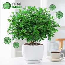 ����ľ��������ֲ���辰���ն��֟������՚�Gֲ������ò�����