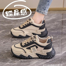 ŮЬļ2025¿Ʊ@_С׃\ӰٴeϵЬ