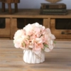Lemon yellow pink spring hydrangea butterfly