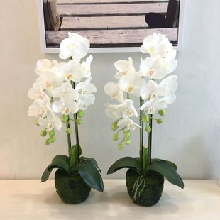 �����m�����ָ��^�z�����������Լ��辰����Ҿ��b�����ֲ�����l