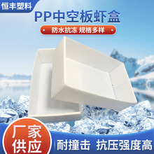 虾盒海鲜包装中空板箱食品包装箱冷链运输水产冷冻包装盒塑料盒