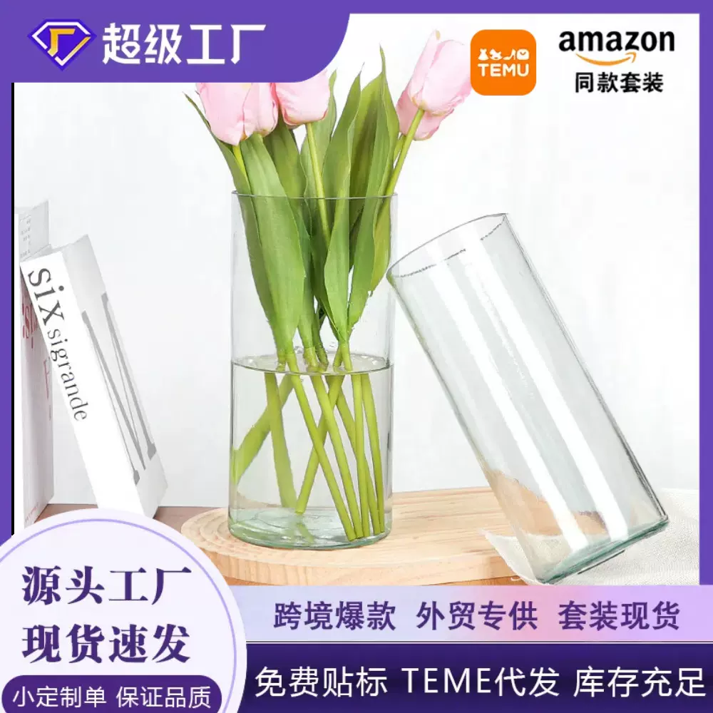 富贵竹直筒玻璃花瓶水培容器微景观摆件ins风创意简约花瓶高级感