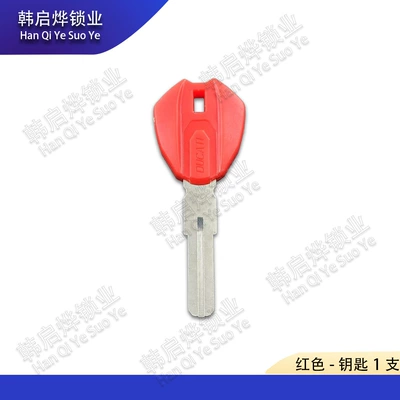 Can Be Used with Chip – Motorcycle Key
