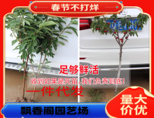 ������̫ƽ��t������� �Ի��ڷ�̫ƽ��t������ �����̻���ϵ