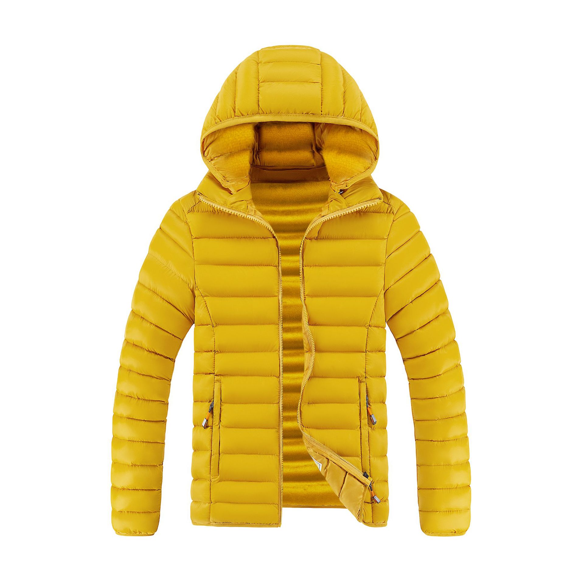 Hoja de arce amarillo