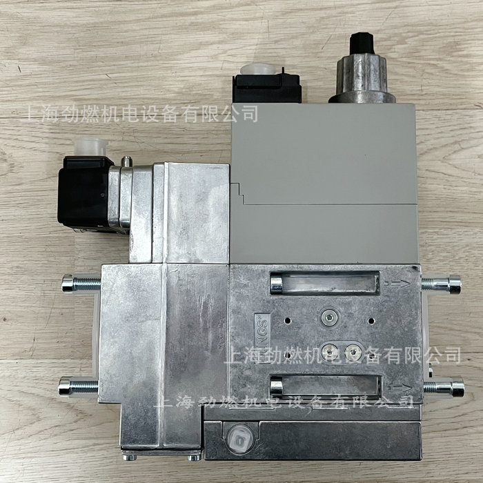 MB-DLE420B01S50 冬斯（DUNGS）多功能燃气组合磁阀 DN50 德国