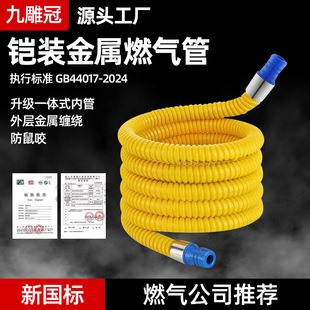Household Liquefied Gas Pipe Armored Metal Gas Pipe Special Explosion-Proof Multi-Layer Thickened Natural Gas Metal-Coated Flexible Hose
