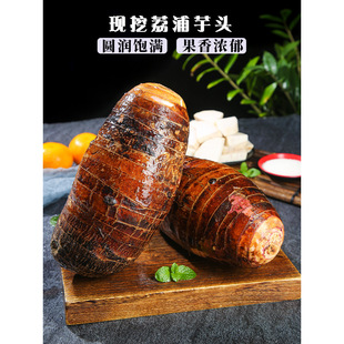 �V�����ַ����^9��F�����r���������������ë���߲�����