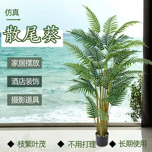 ���R�d�ҾӔ[��������� ���W�L�҃���ؔ[���Ƶ��b�ɢβ������